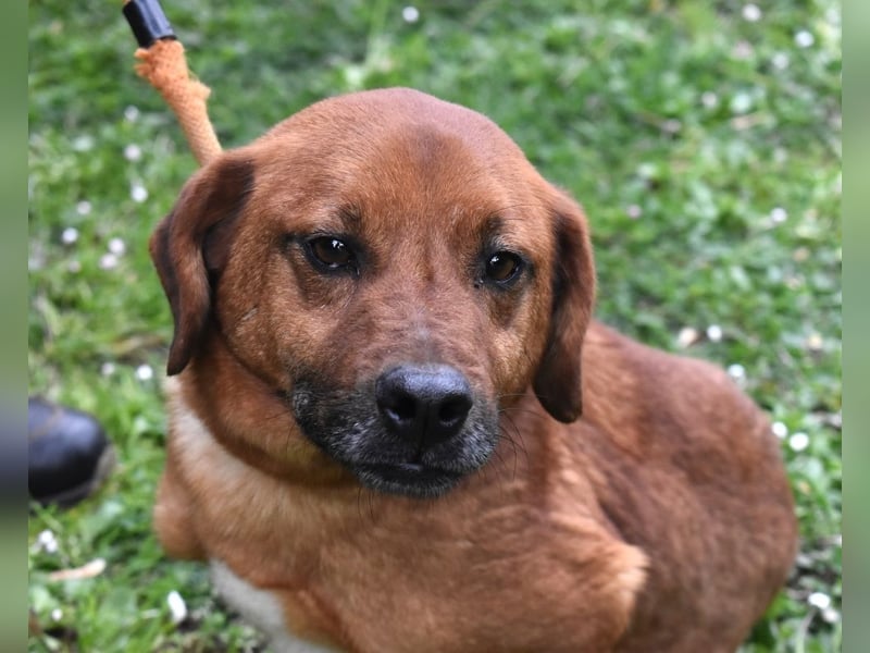 Monaldo - In der Ruhe liegt die Kraft!