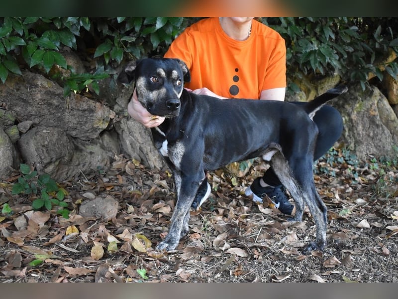 Kristian - SOS - Braucht ganz dringend ein Ausreiseticket