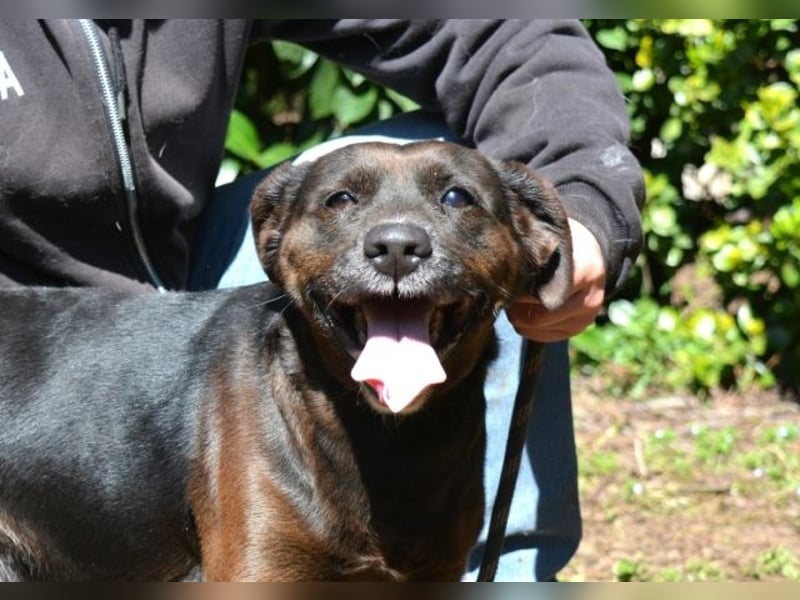 Rellyt - mit dem ganz besonderen Blick Rellyt - mit dem ganz besonderen Blick