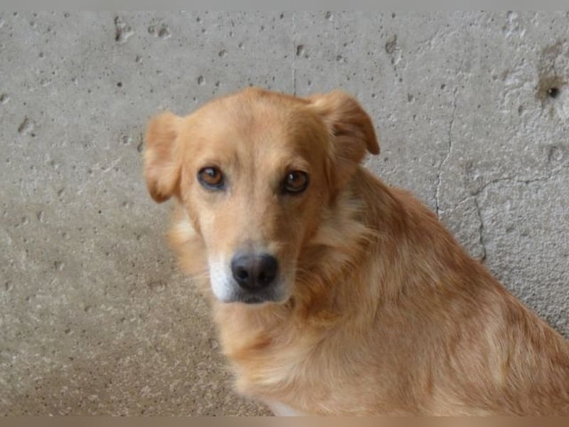 Ferelith - Was wäre, wenn....