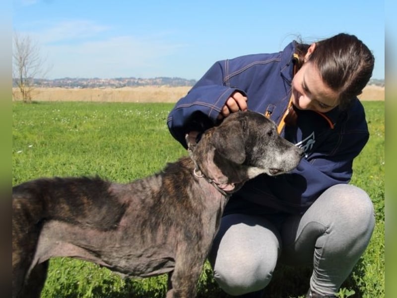 Gweni - SOS - Hoffnung auf ein Ende der Odyssee