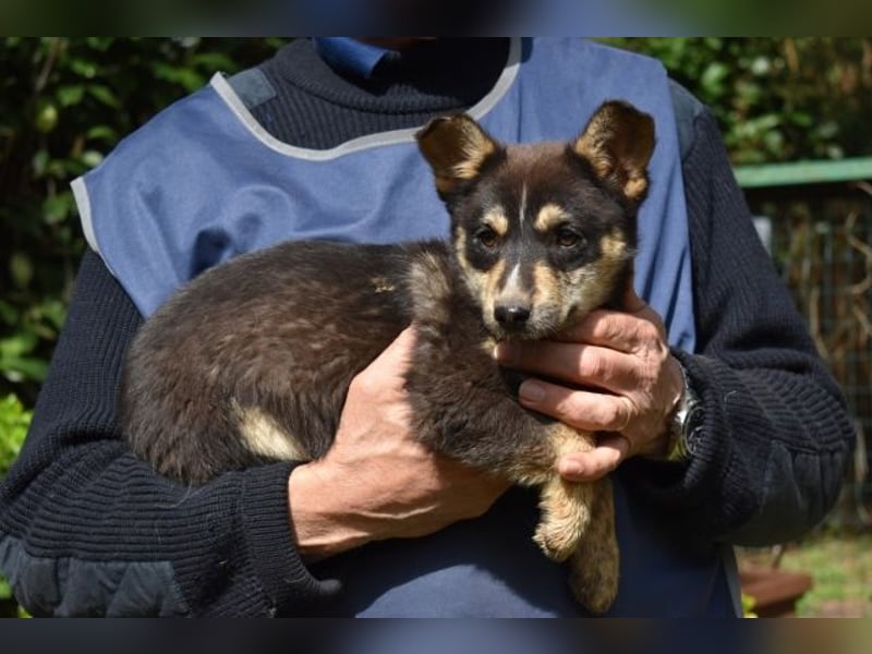 Vionella - Kuckuck...hallo...sind da draußen Menschen?