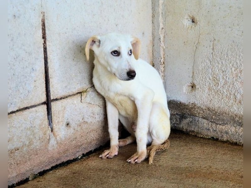 Radford - Ein Anfang, der nie kam