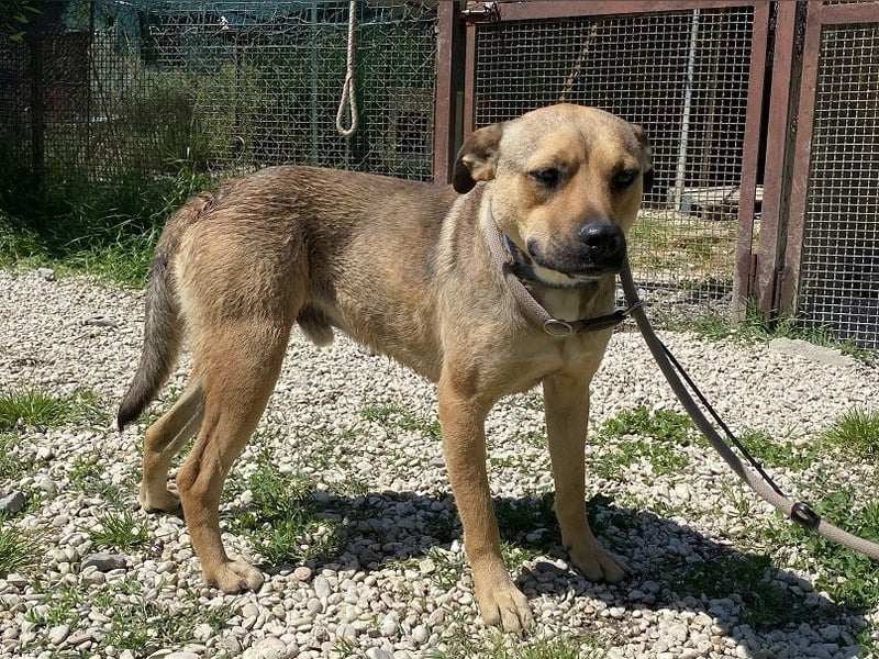 Faudor - Bist du die letzte Station meiner Odyssee?