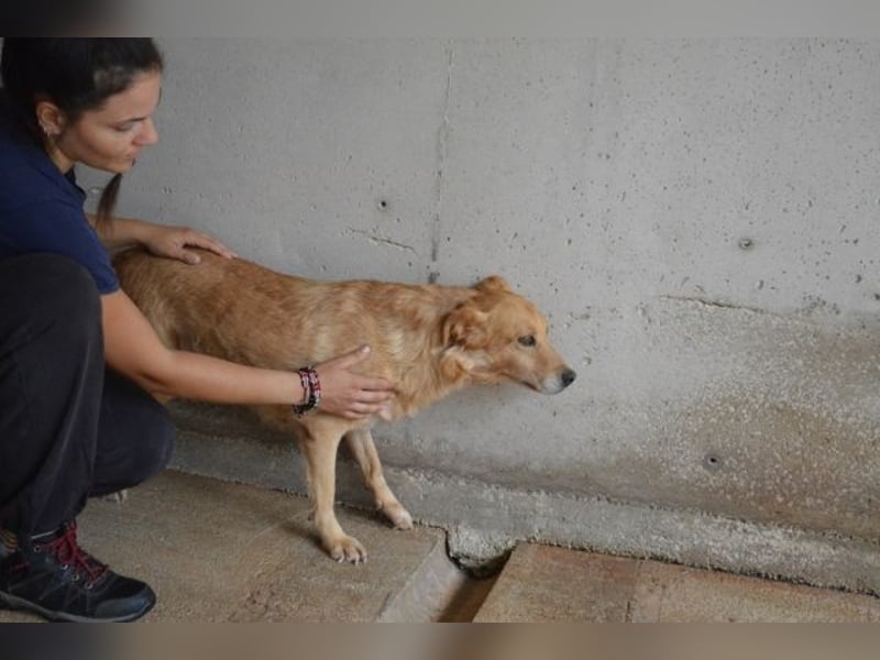 Ferelith - Was wäre, wenn....
