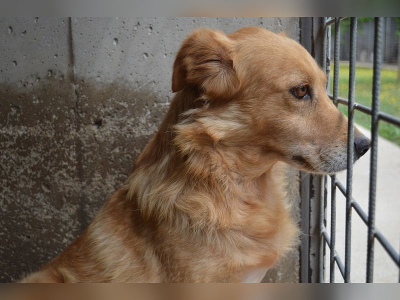 Ferelith - Was wäre, wenn....