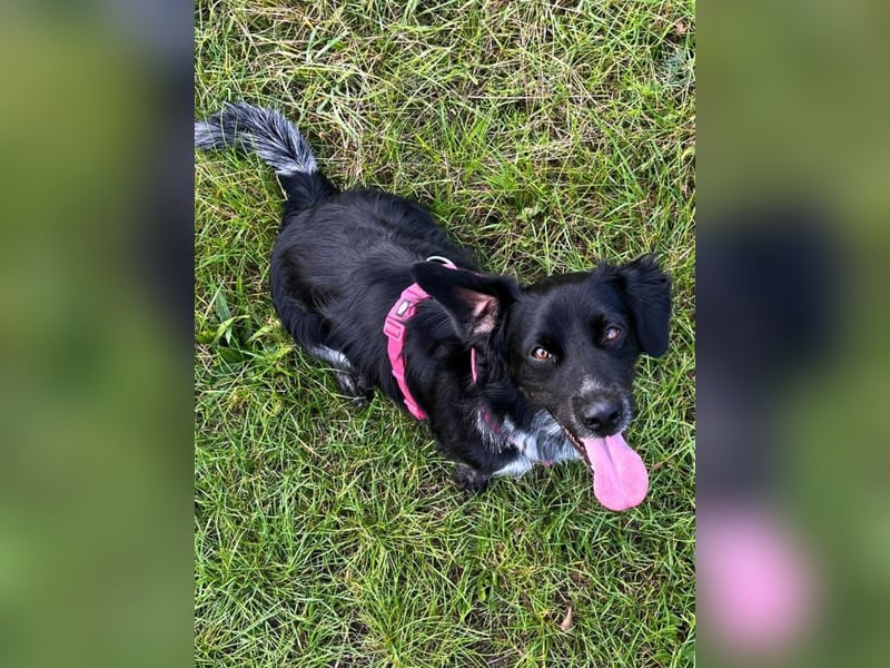 Wesley - wann geht es los? Wesley - wann geht es los?