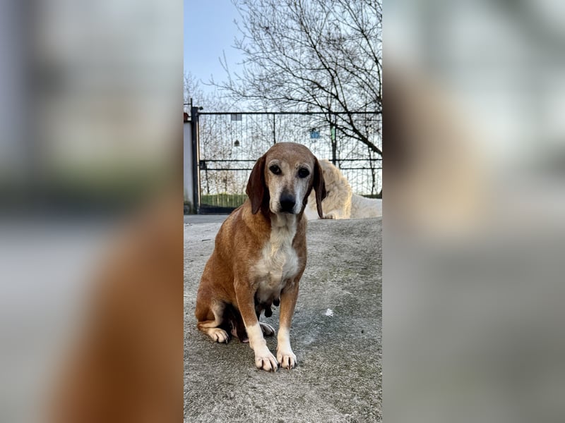 Silke - Zehn Jahre Stärke, jetzt ist sie an der Reihe