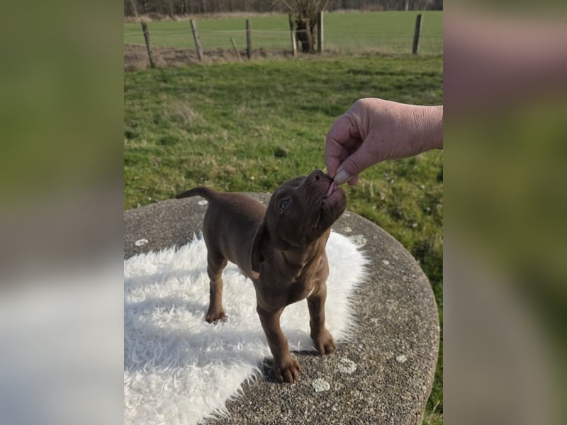 Liva - Also ehrlich, wir sind doch nur Babys!