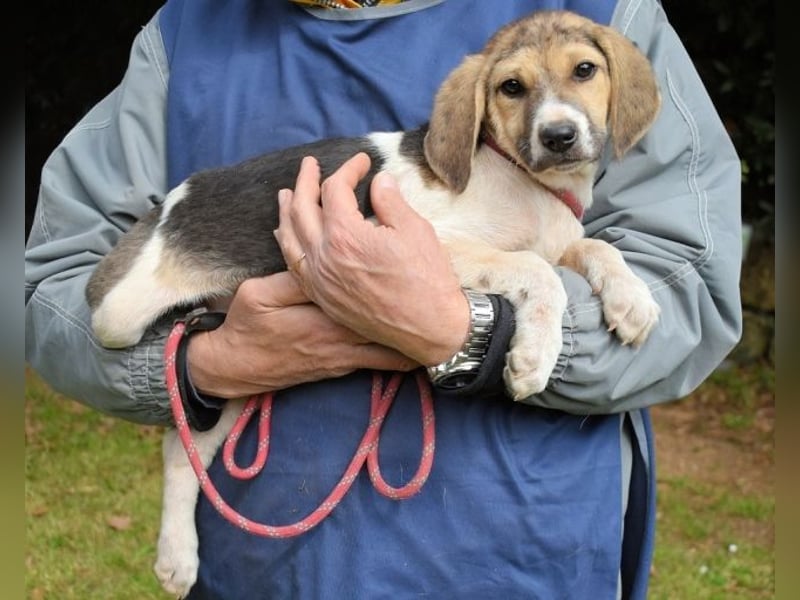 Wasker - Als Mama noch bei uns war
