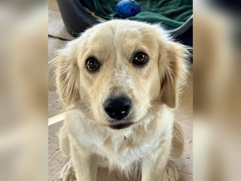 Demy - Das Leben könnte so schön sein!