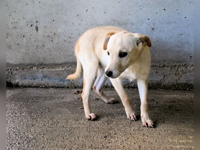 Elvio - seine Mut-Münzen sind fast aufgebraucht
