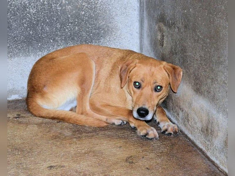 Idalee - Die Wunde namens Zeit