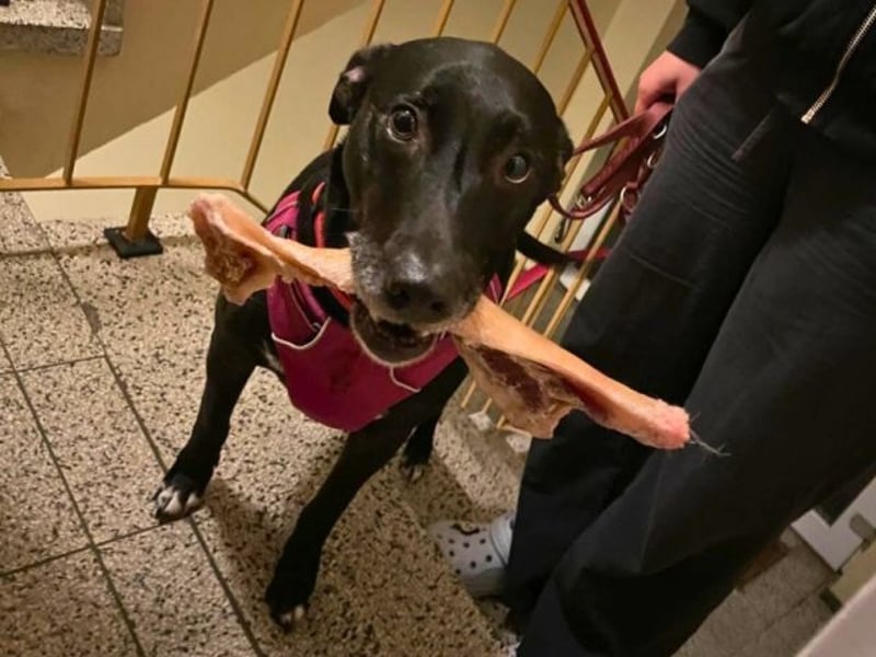 Taya - Manchmal hält das Glück nicht ewig