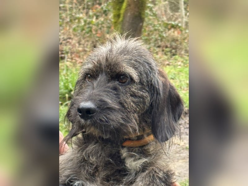 Estella - will dein Fixstern werden