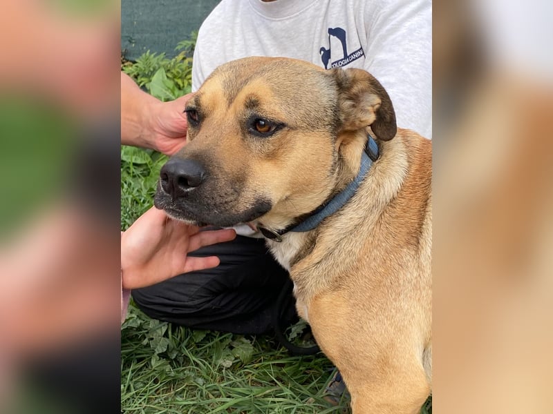 Faudor - Bist du die letzte Station meiner Odyssee?