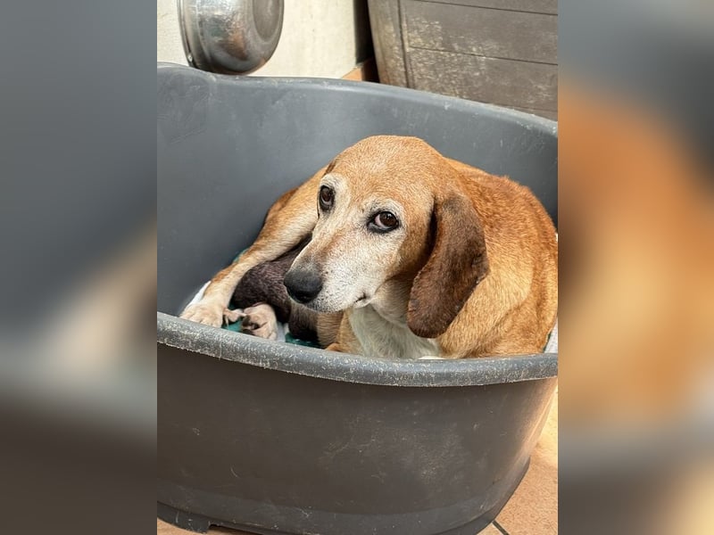 Silke - Zehn Jahre Stärke, jetzt ist sie an der Reihe