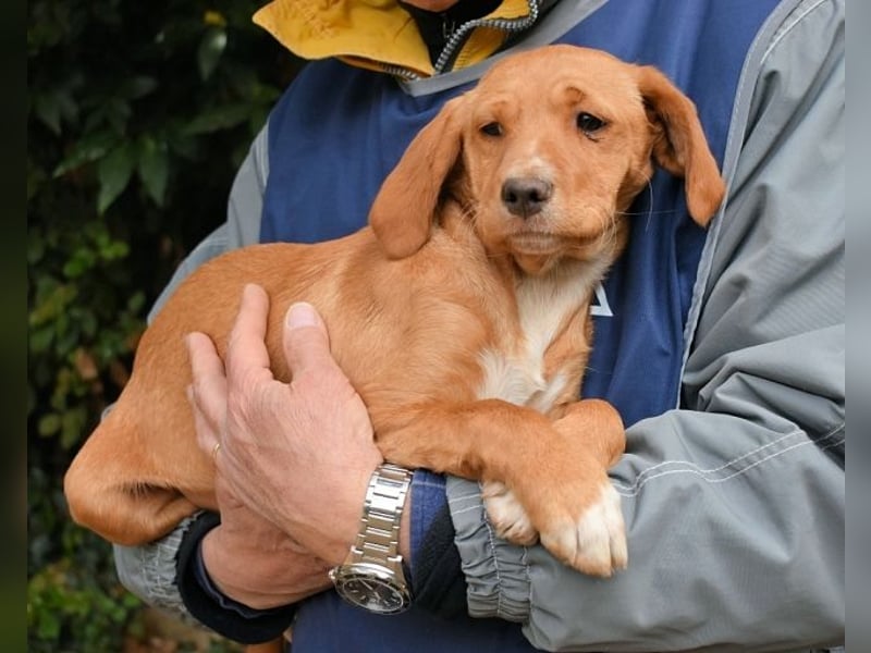 Wixelle - Als Mama noch bei uns war