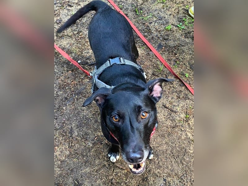 Taya - Manchmal hält das Glück nicht ewig Taya - Manchmal hält das Glück nicht ewig