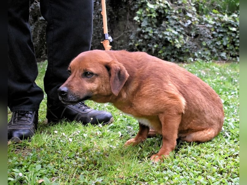 Monaldo - In der Ruhe liegt die Kraft!