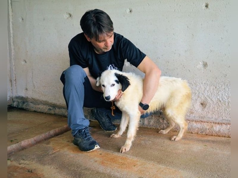 Rylando - Ein Anfang, der nie kam