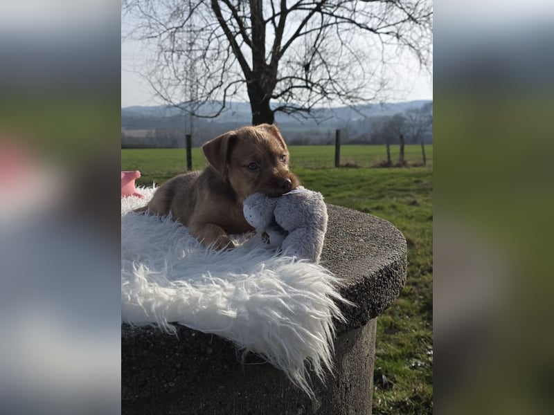 Lumi - Also ehrlich, wir sind doch noch Babys!