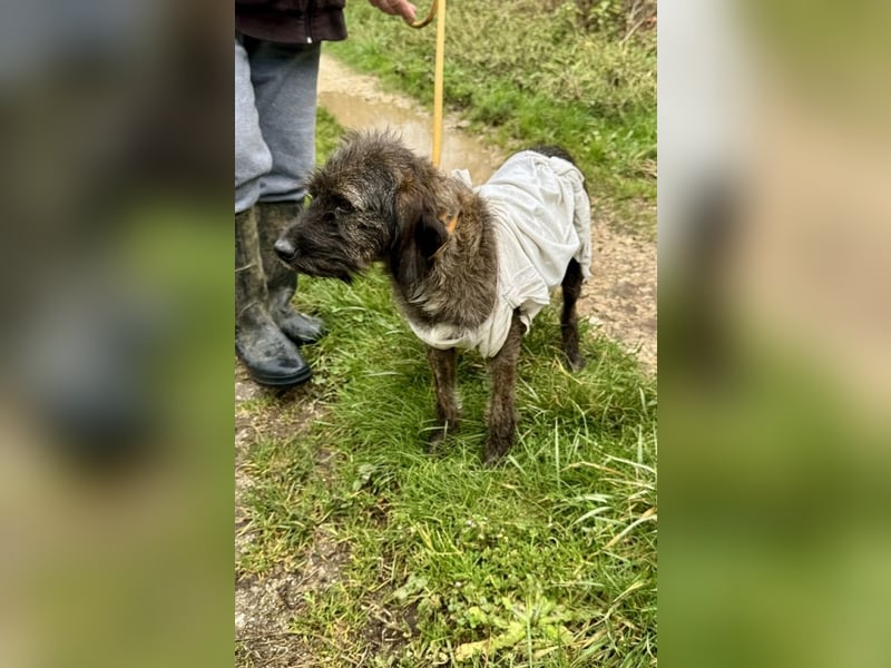 Estella - will dein Fixstern werden