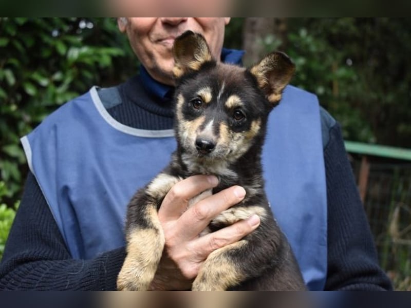 Vionella - Kuckuck...hallo...sind da draußen Menschen?