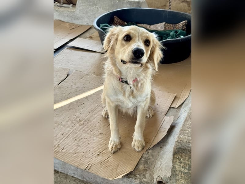 Demy - Das Leben könnte so schön sein!