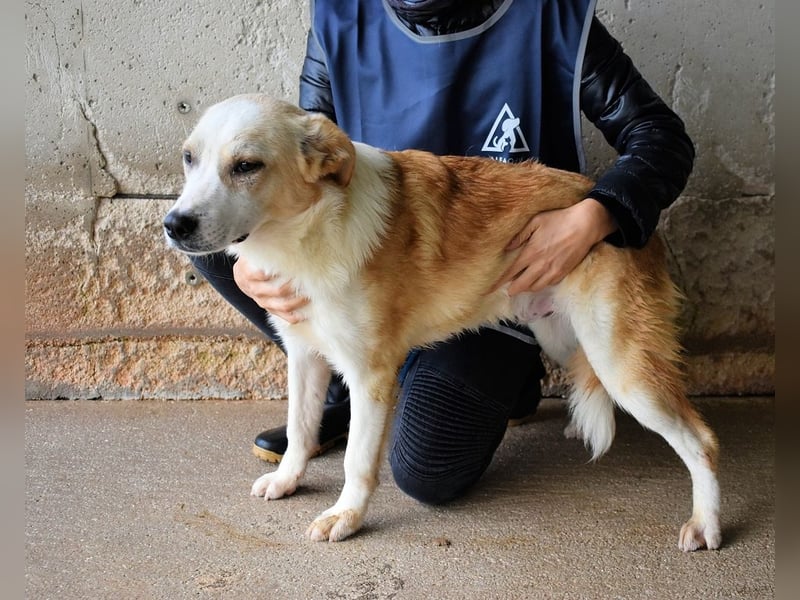 Simbad - Ein verlässlicher Partner...