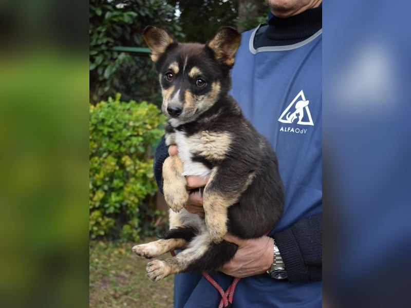 Vionella - Kuckuck...hallo...sind da draußen Menschen?