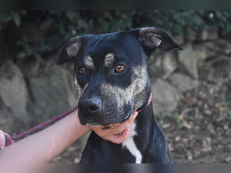 Kristian - SOS - Braucht ganz dringend ein Ausreiseticket