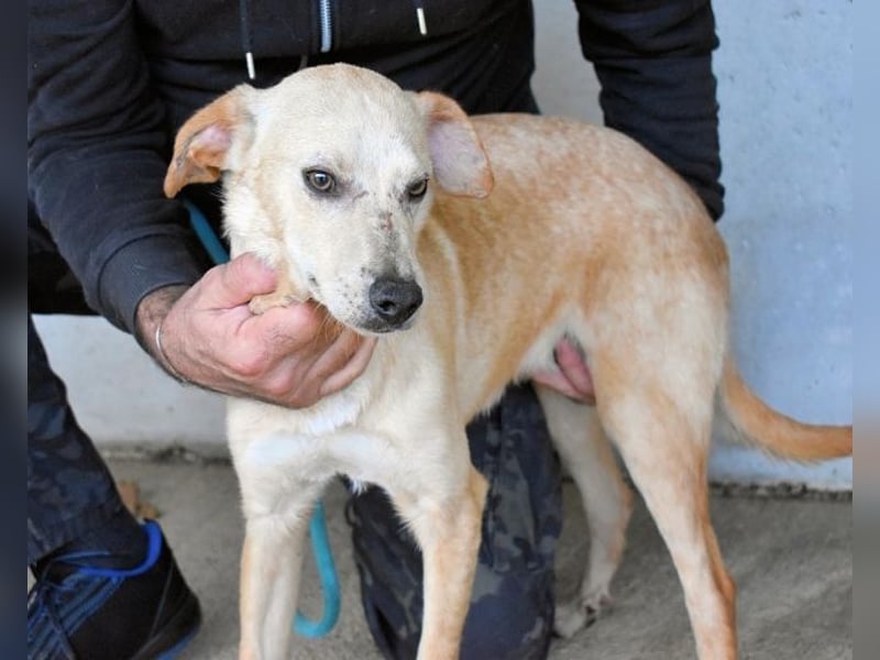 Boris - Wie lange würdest du das aushalten?