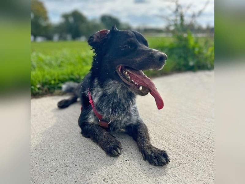 Wesley - wann geht es los? Wesley - wann geht es los?