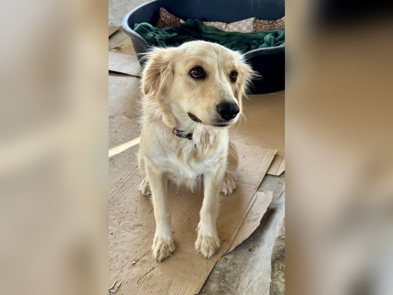 Demy - Das Leben könnte so schön sein!