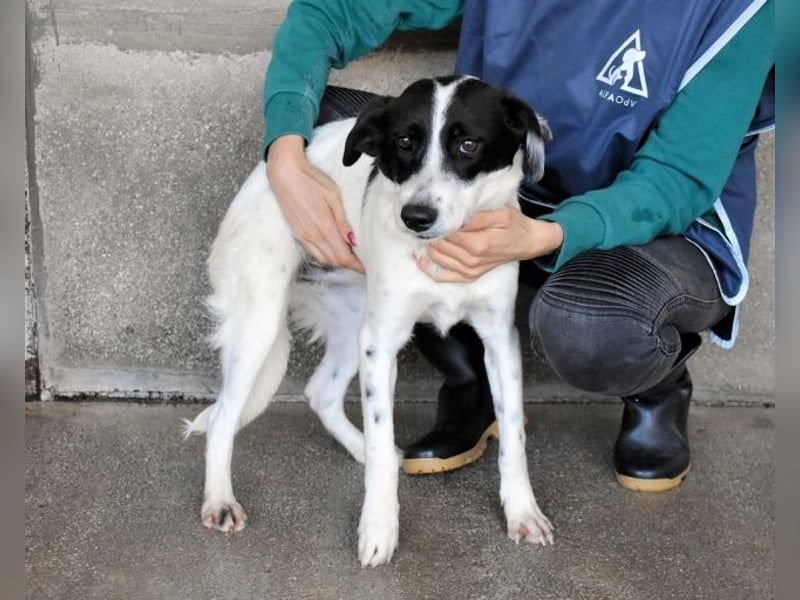 Deliane - Navigation auf "Zuhause" gestellt