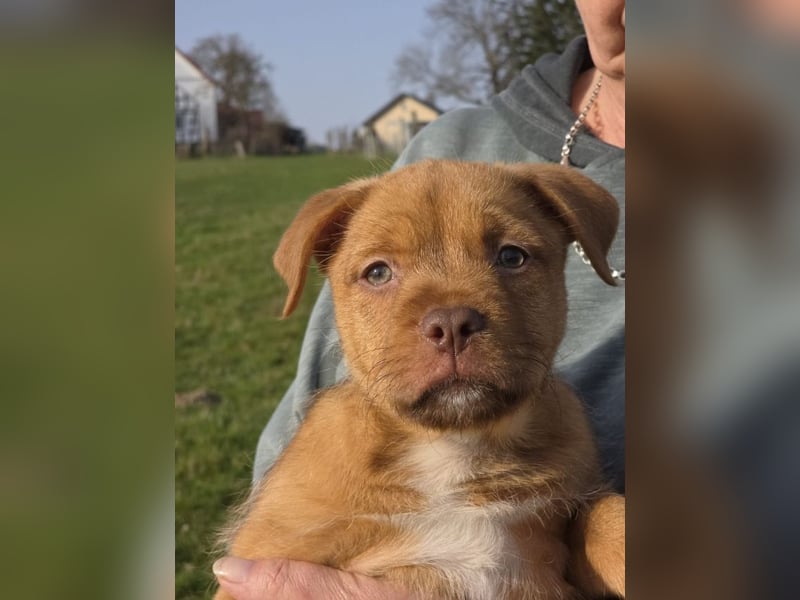 Linou - Also ehrlich, wir sind doch nur Babys!