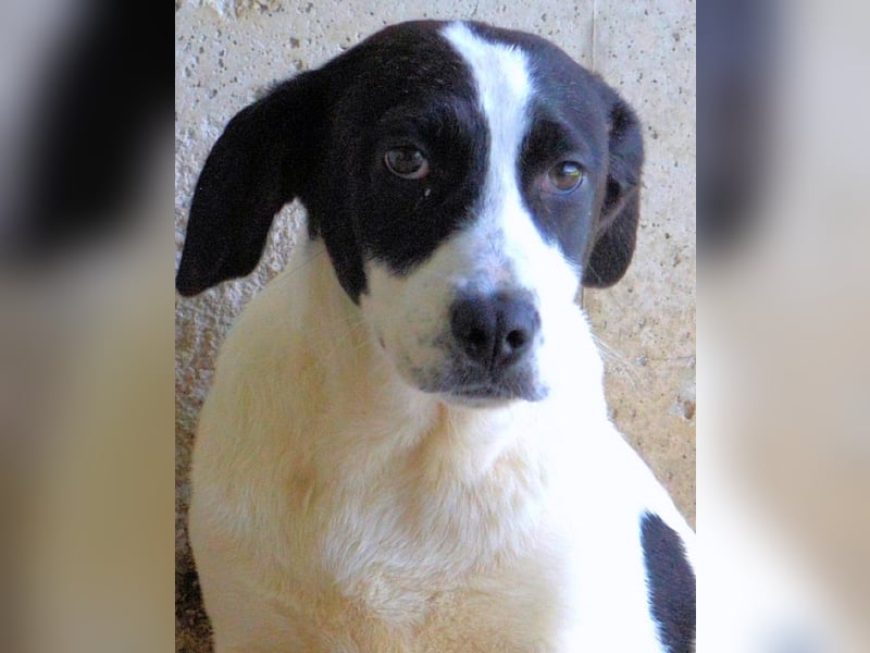 Raakel - Ein Anfang, der nie kam