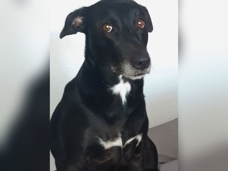 Taya - Manchmal hält das Glück nicht ewig Taya - Manchmal hält das Glück nicht ewig