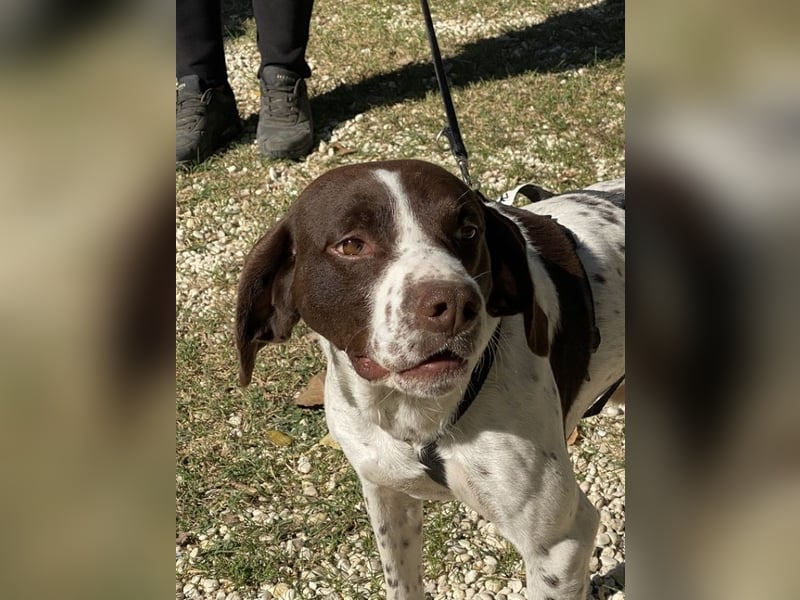 Sandro - Liebster Freigeist sucht Familie (gerne mit Kindern)