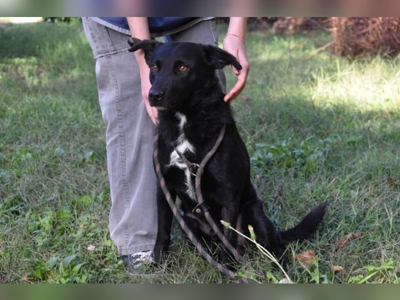 Rafeed - Möge der kleine Drache ihn beschützen