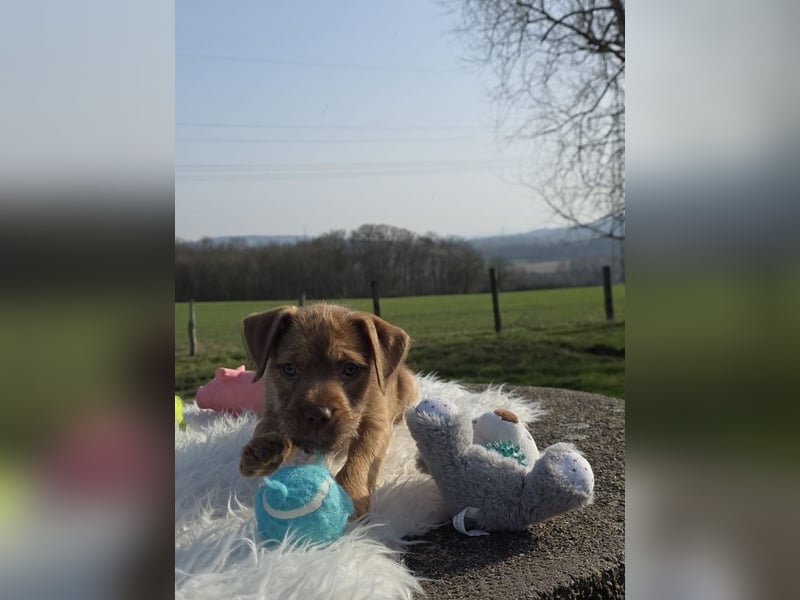 Lumi - Also ehrlich, wir sind doch noch Babys!