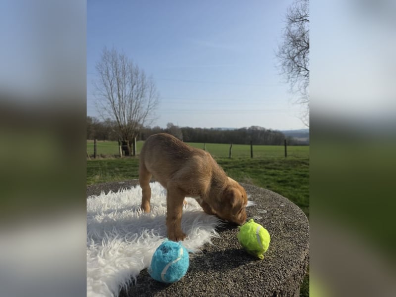 Linou - Also ehrlich, wir sind doch nur Babys!