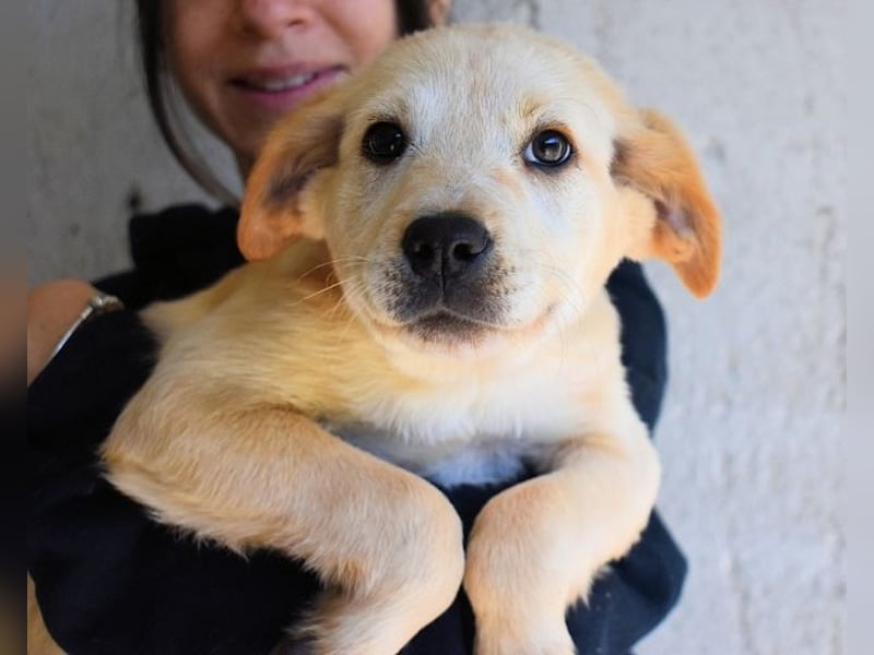 Sirette - ...und Sniffy halten zusammen