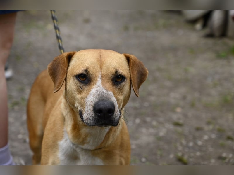 Lilli - und das Leben geht weiter