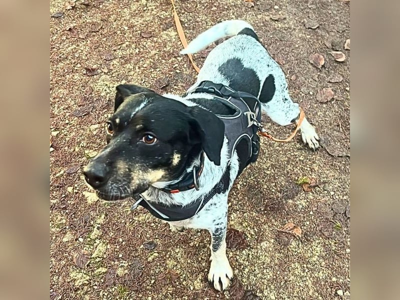 Bice - Das hat sie nicht verdient