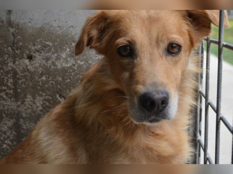 Ferelith - Was wäre, wenn....