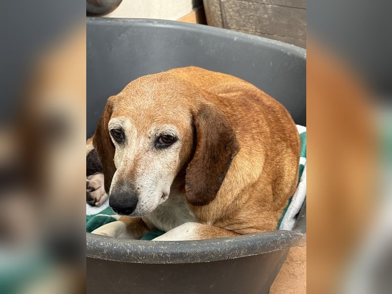 Silke - Zehn Jahre Stärke, jetzt ist sie an der Reihe