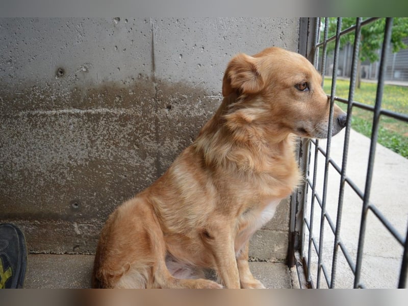 Ferelith - Was wäre, wenn....