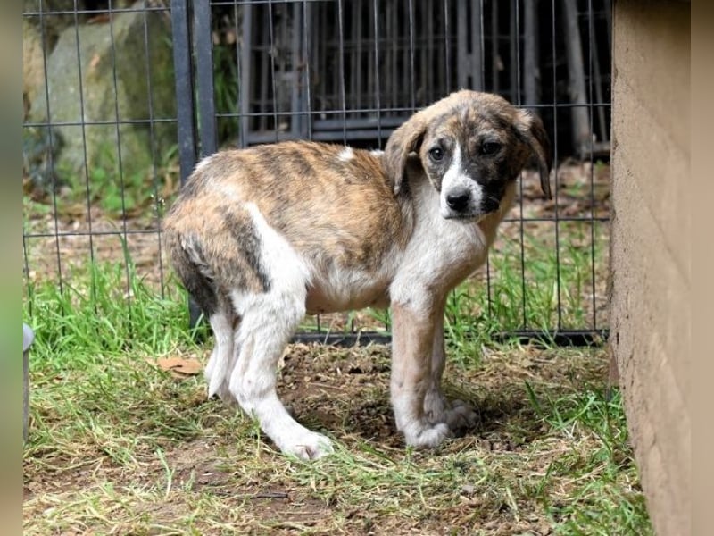 Woola - Als Mama noch bei uns war